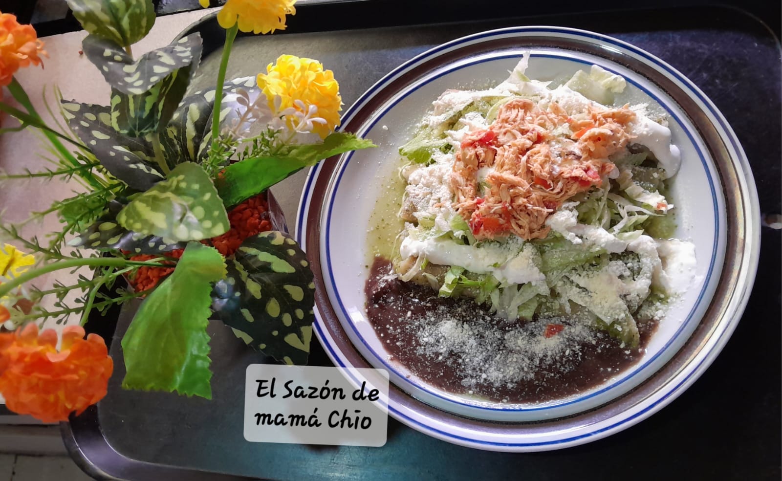 Paq. 3 Enchiladas