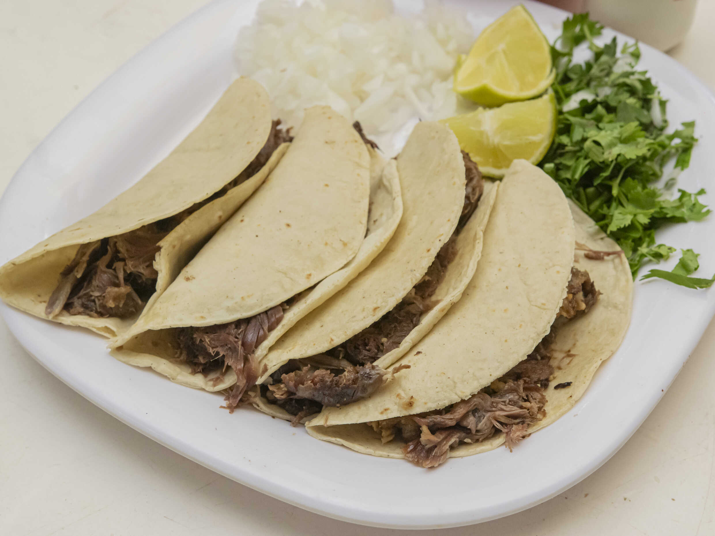 Taco Barbacoa Cesos