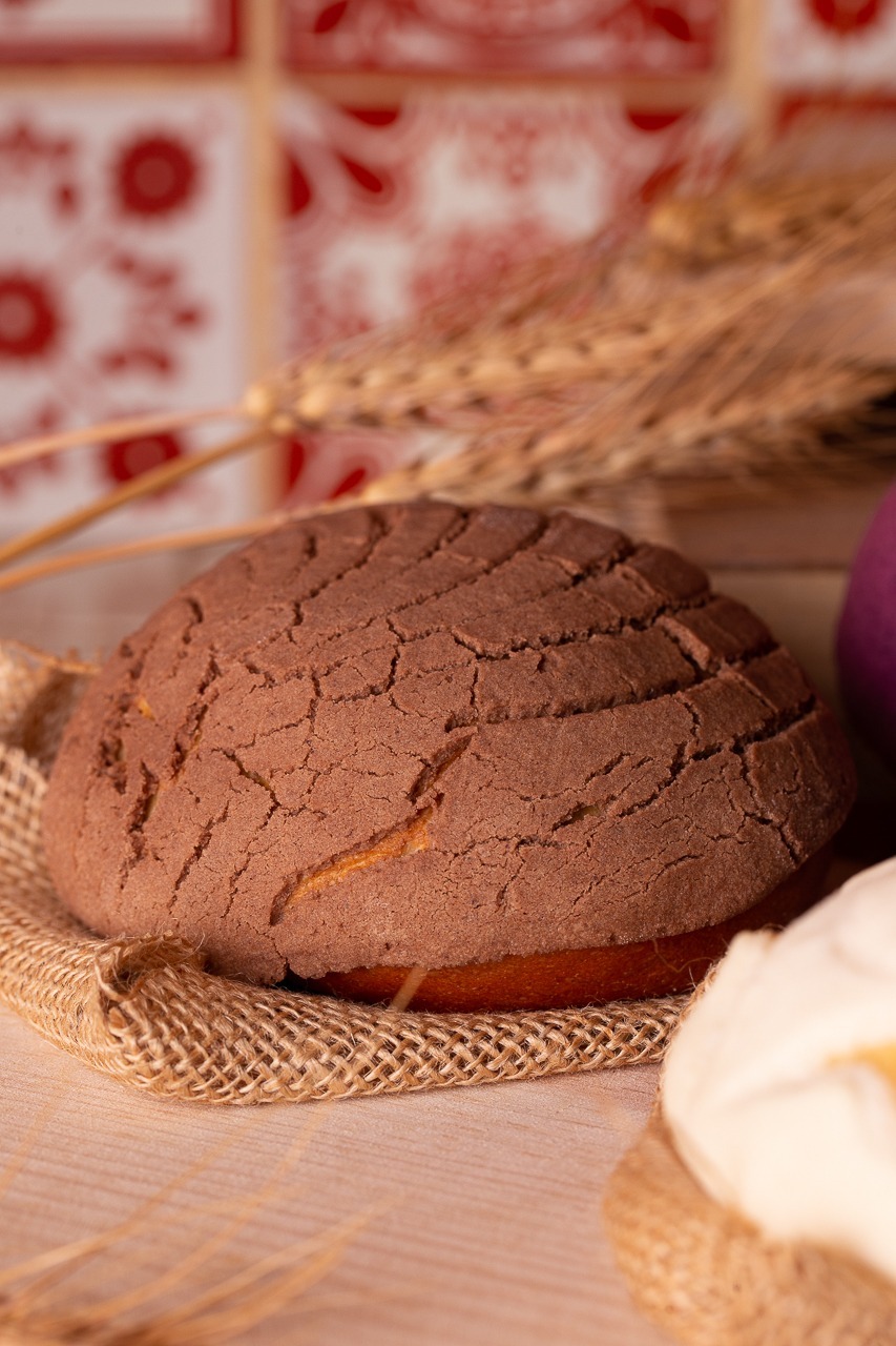Concha Tradicional