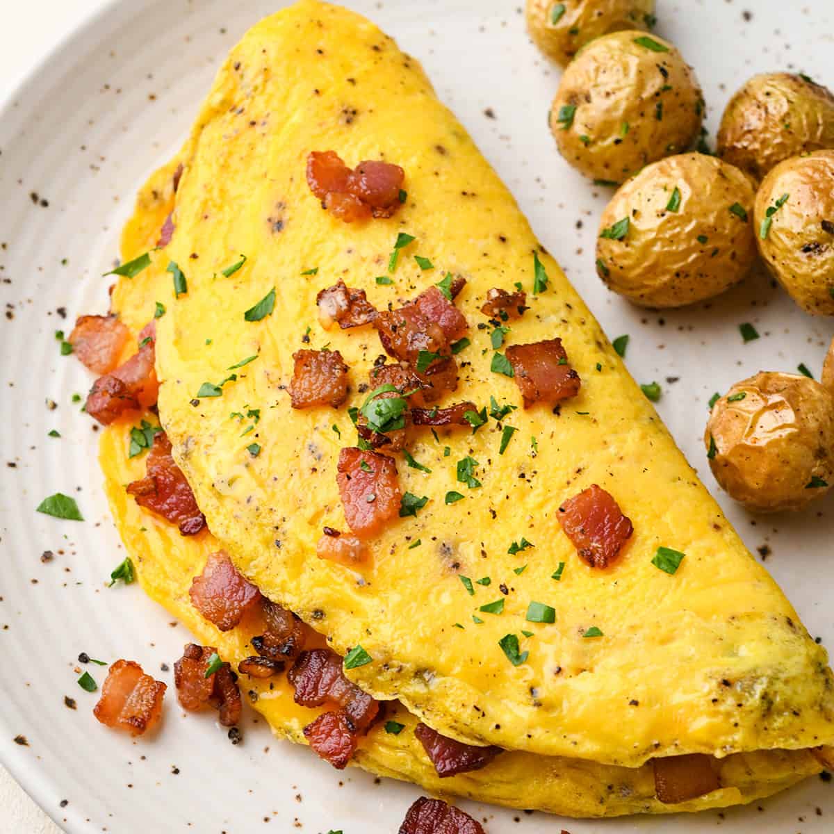 Omelette Mr. Tocinon
