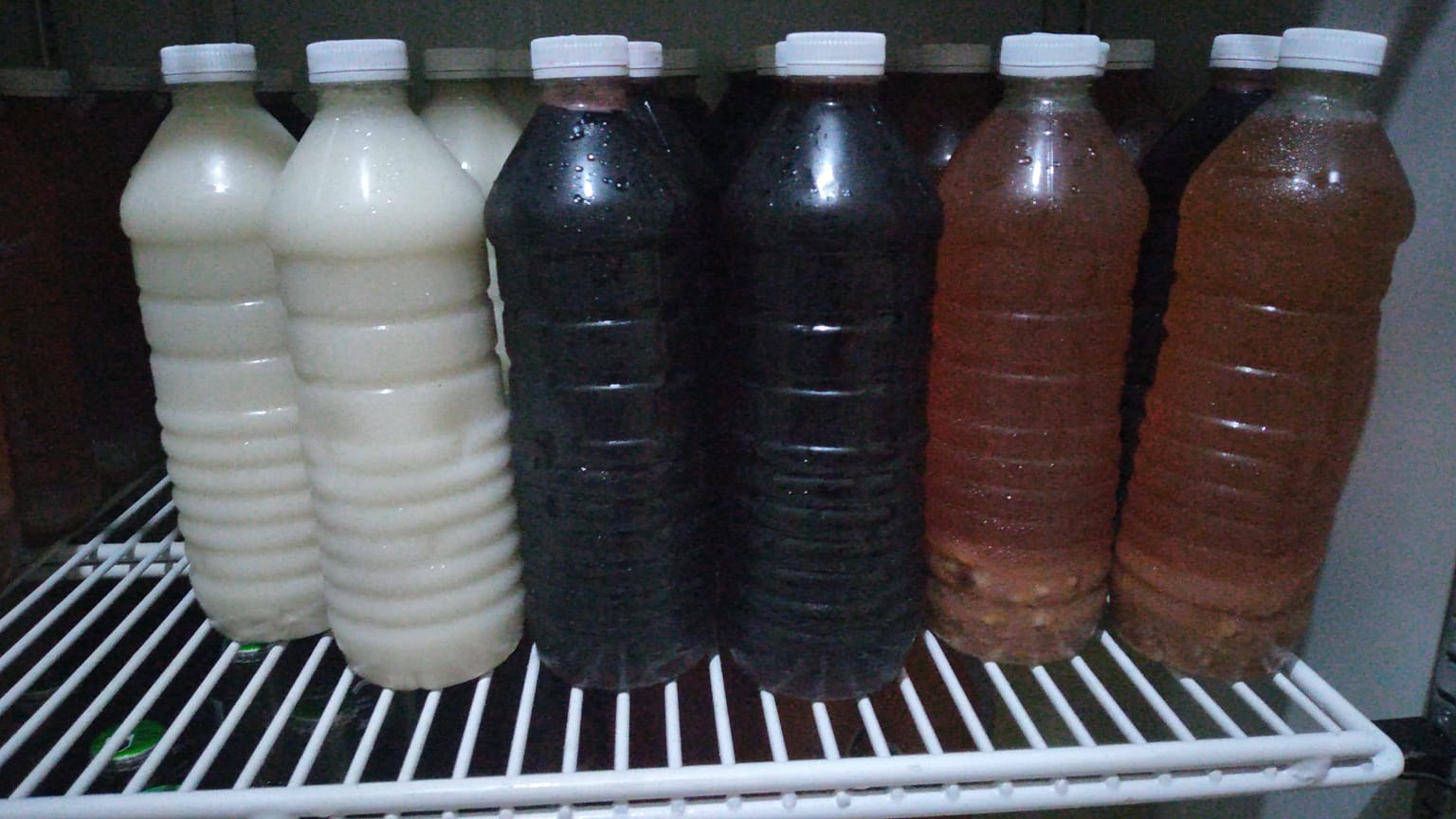 Agua Fresca 500 ML
