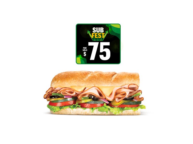Sub Pechuga de Pavo.