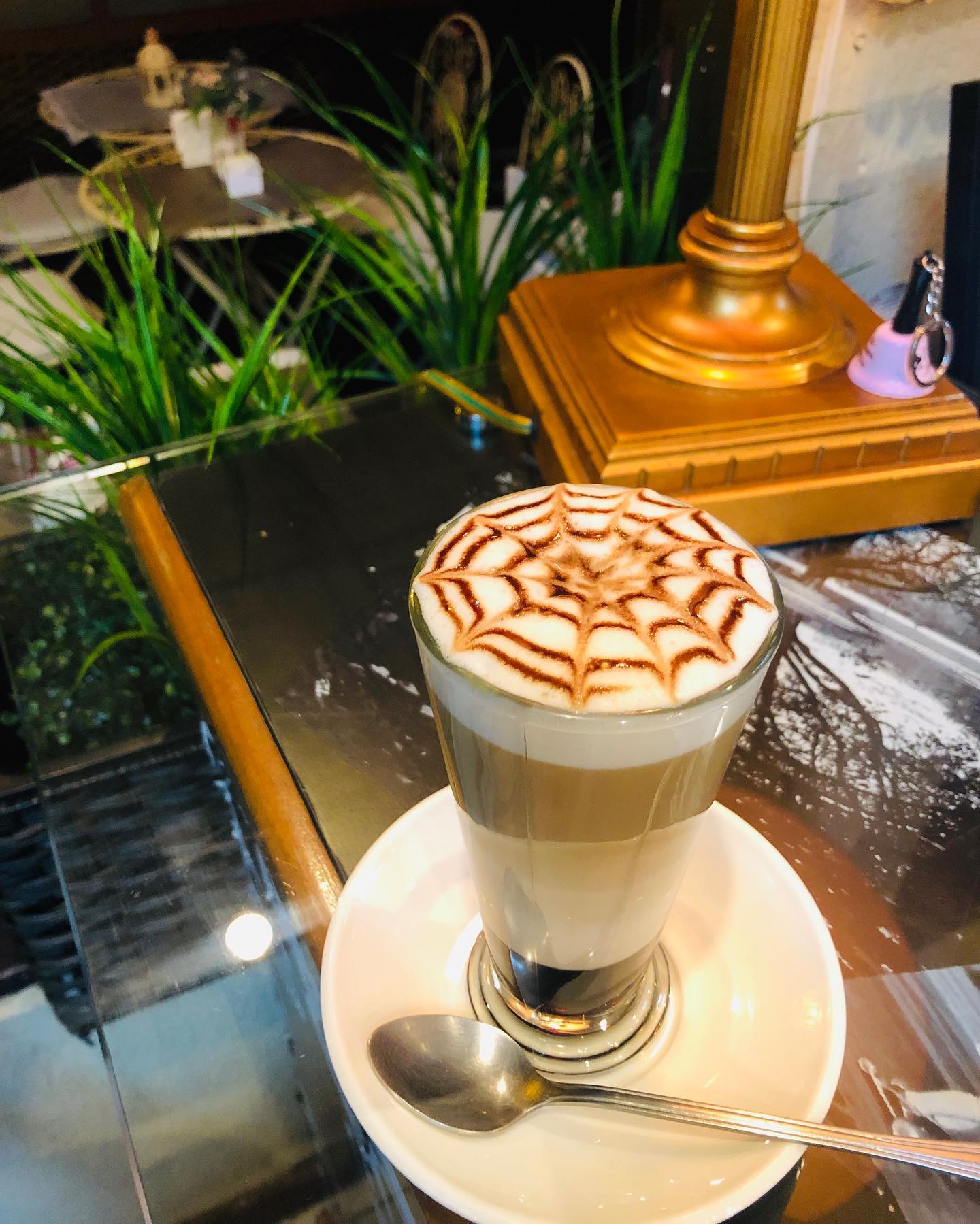 Café con Leche  8 oz
