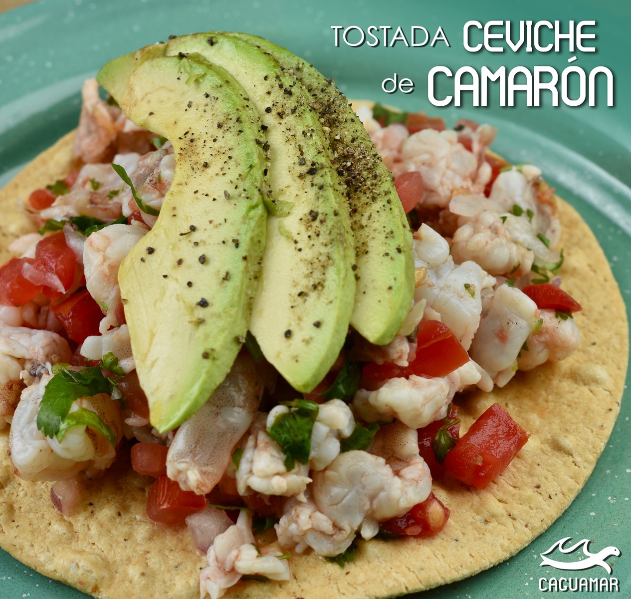 Tostada de Ceviche de Camarón