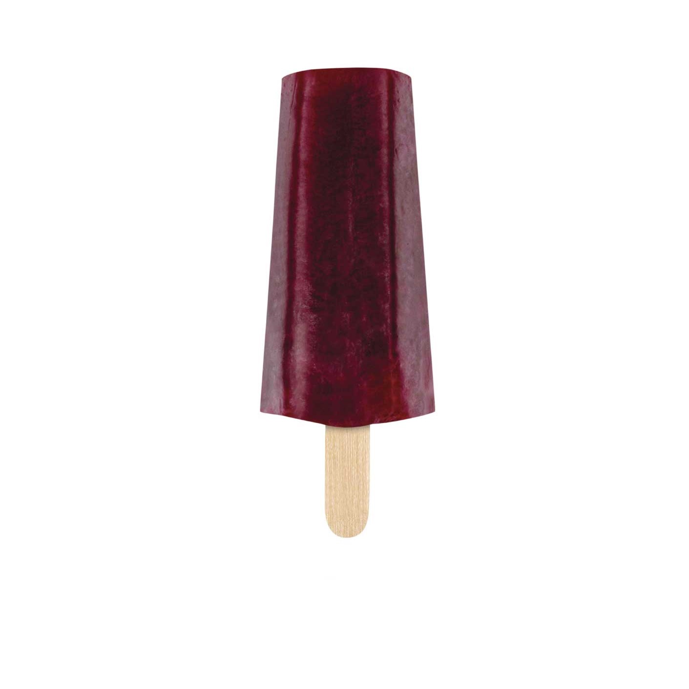 Paleta Mini de Jamaica