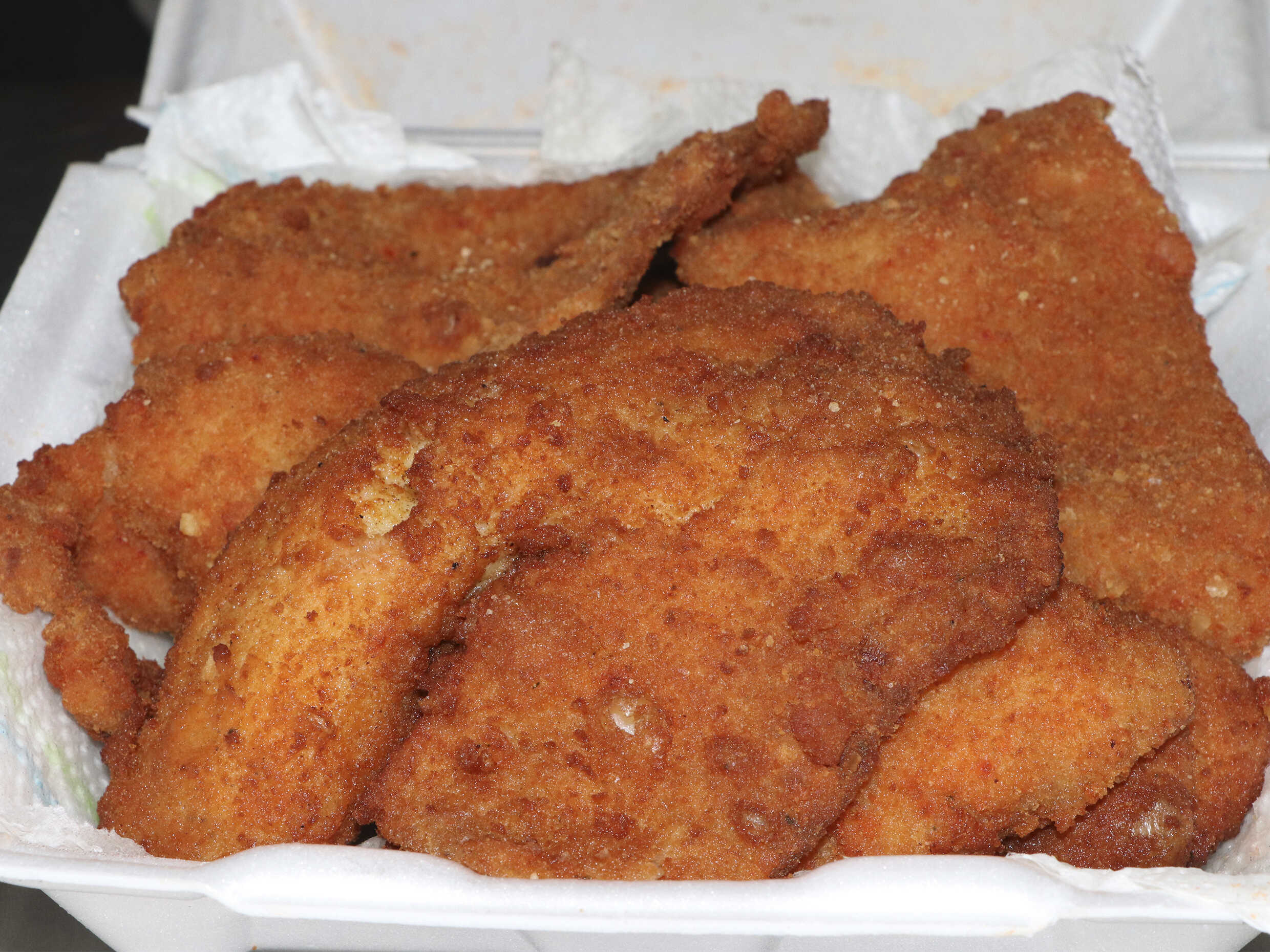 Paquete Tilapia Individual