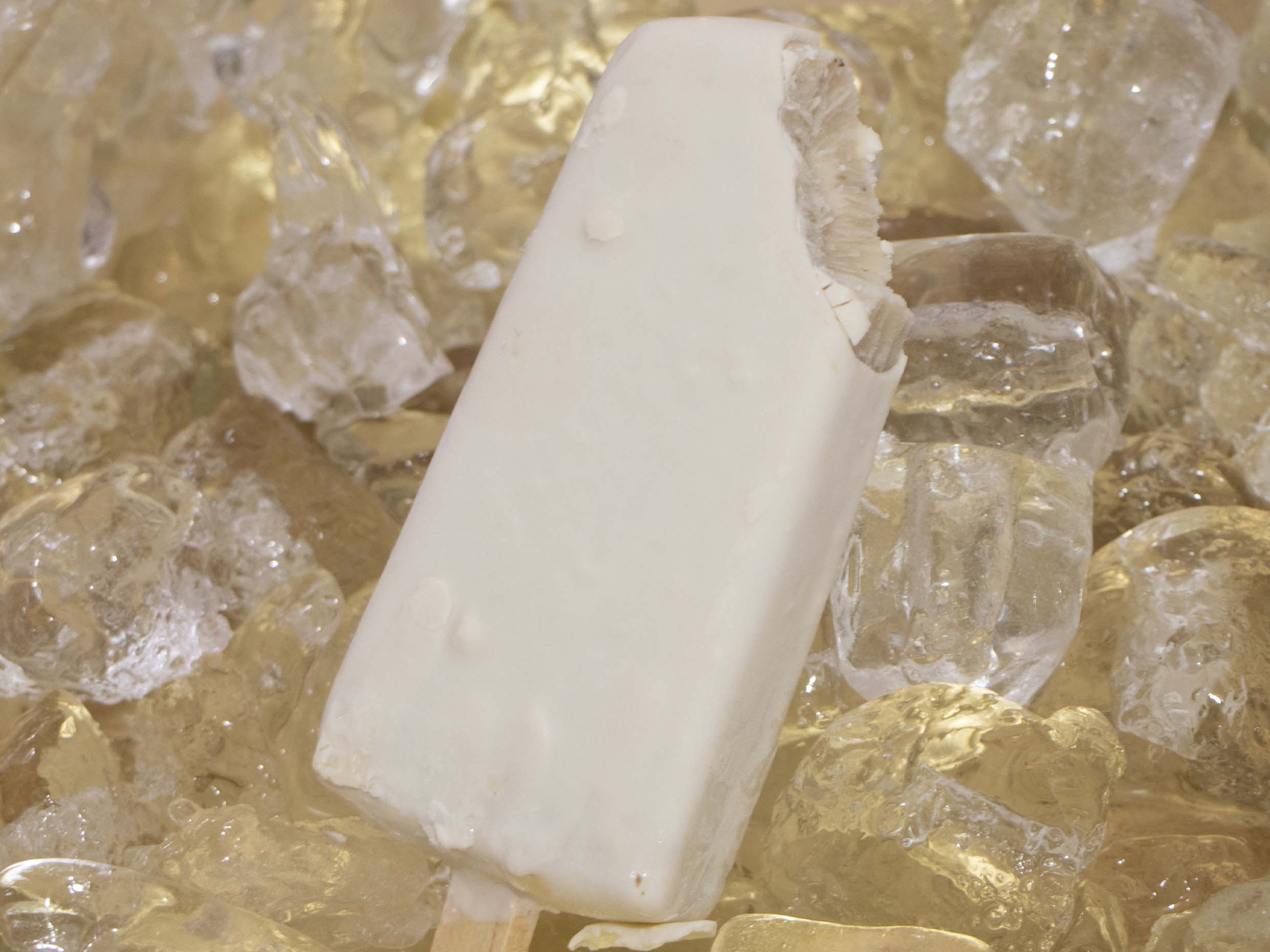 Polar de Nuez