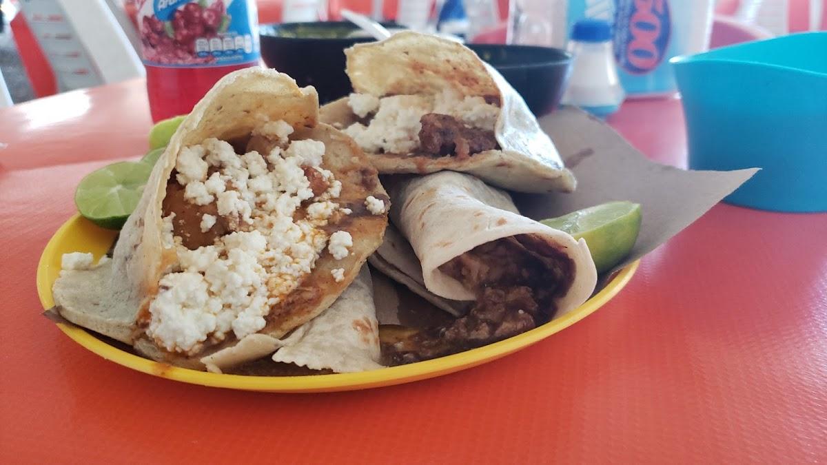 Gordita