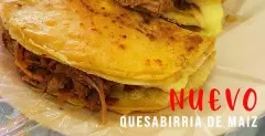 Quesabirria individual