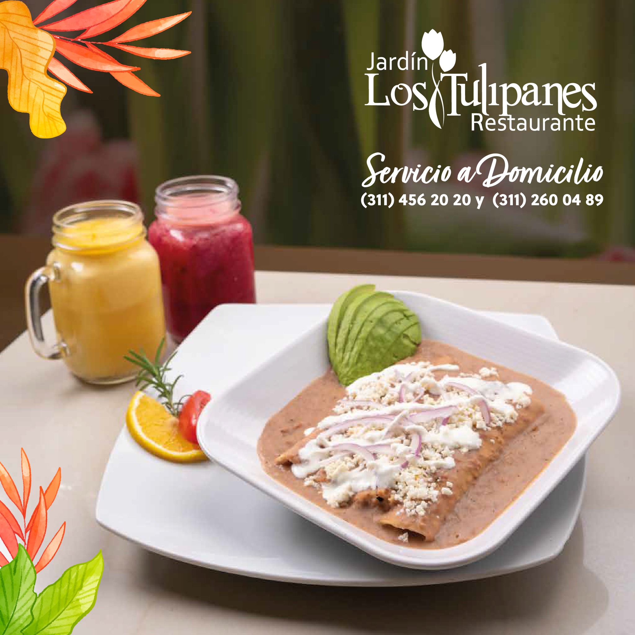 Enfrijoladas de pollo