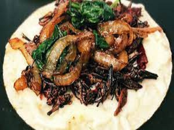 Teppanyaki Mixto