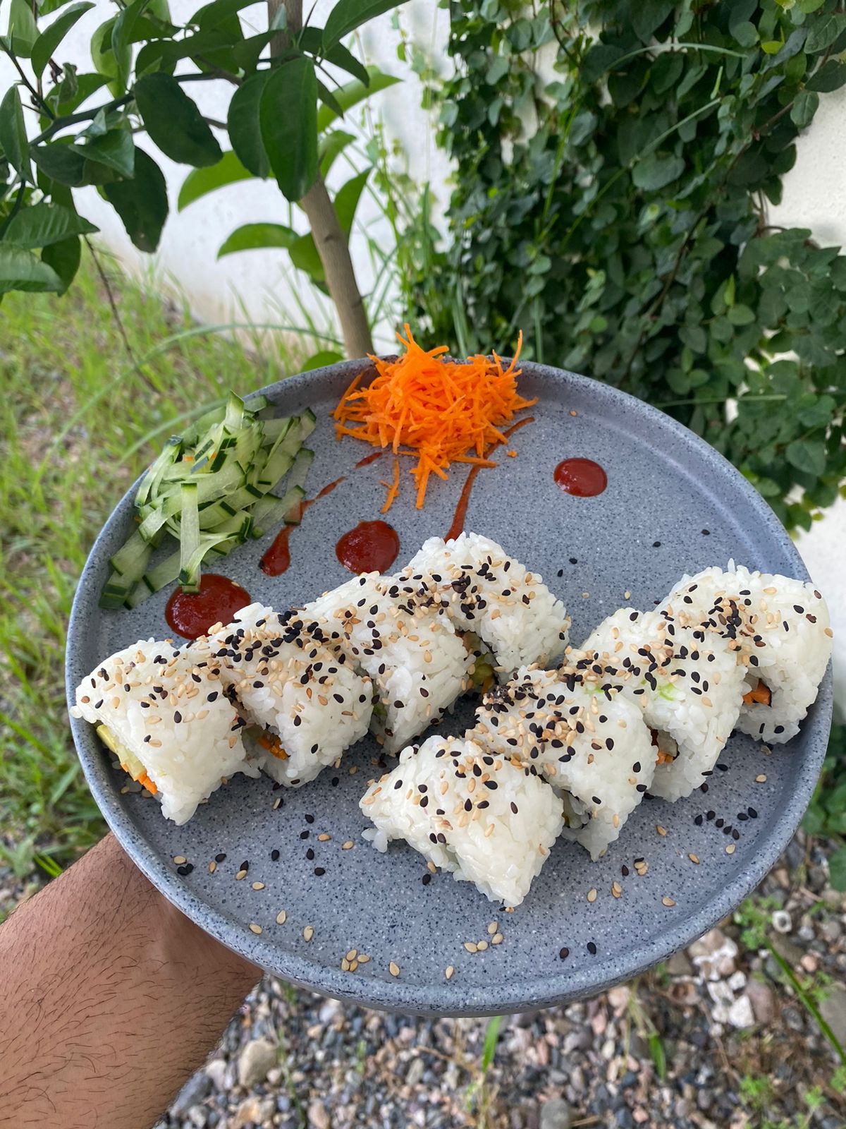 California ajonjoli