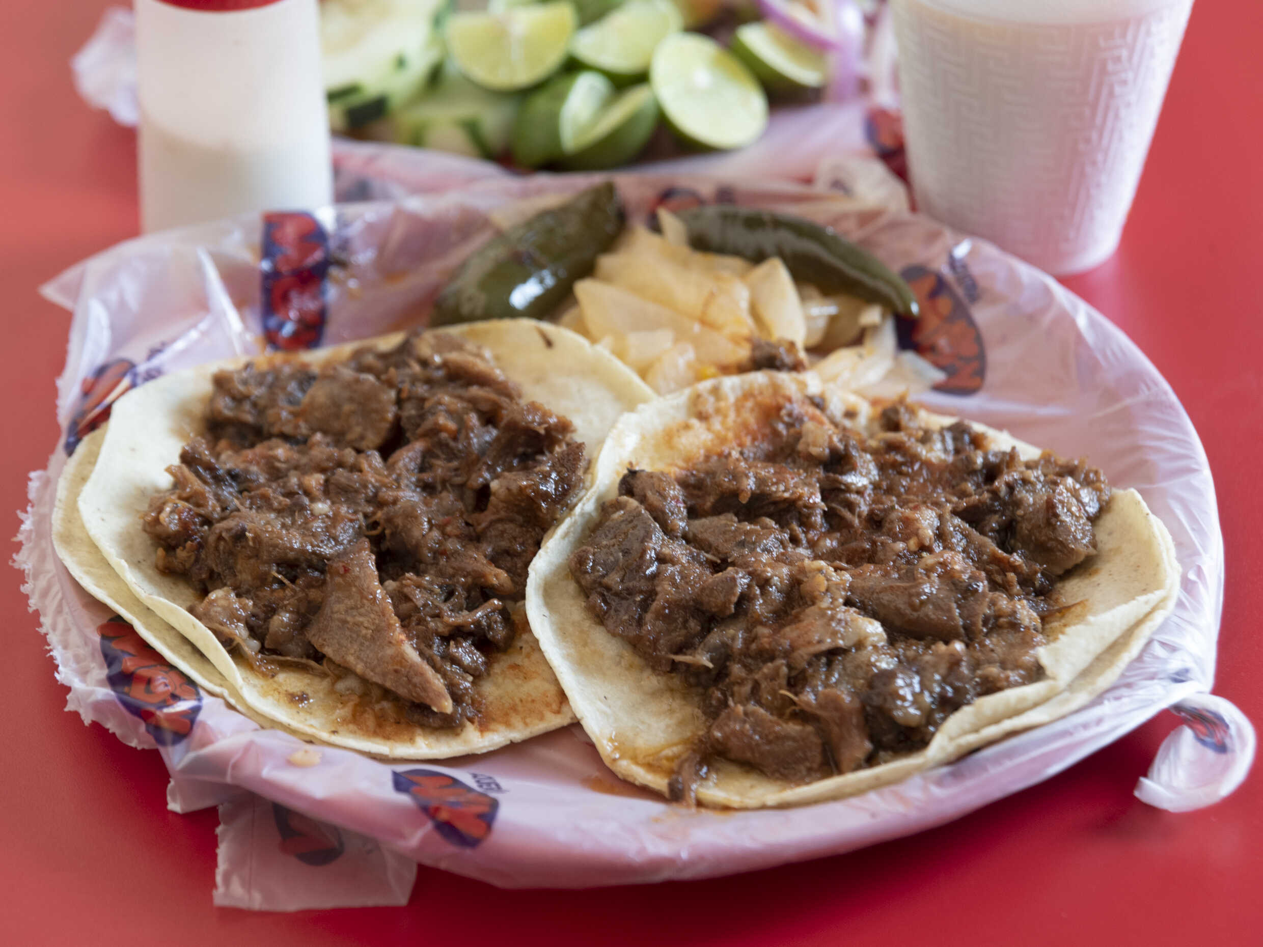 Taco de Labio