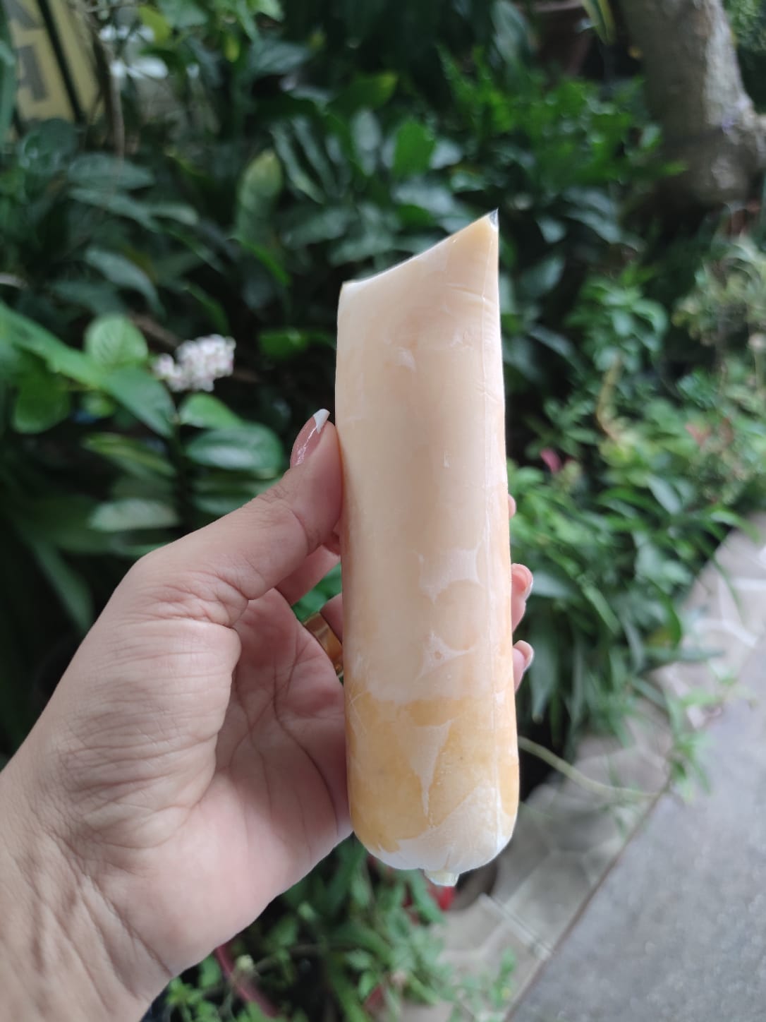 BOLI FRUTOS AMARILLOS