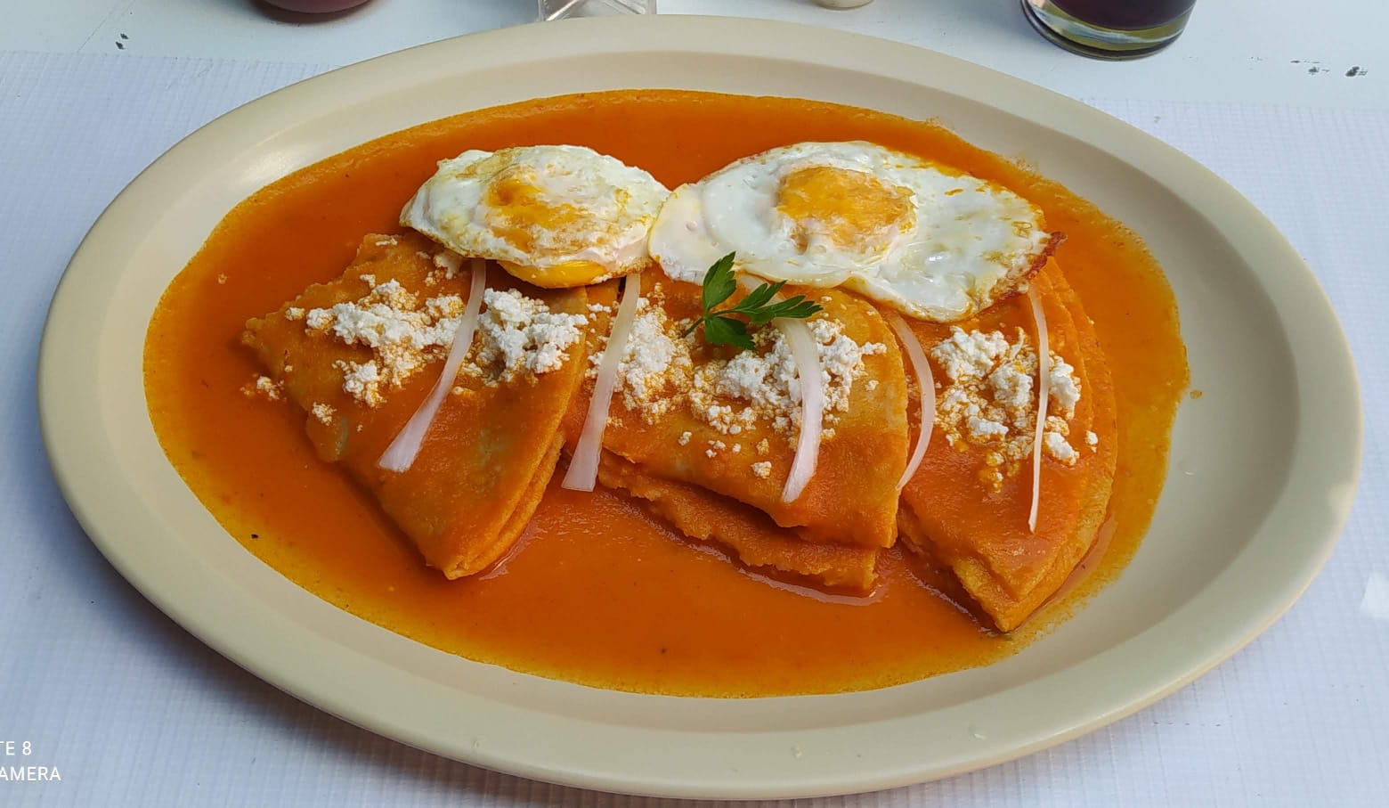 Entomatadas con Proteína