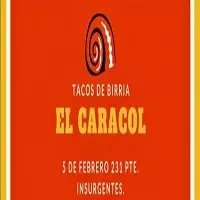 Realiza un pedido a TACOS DE BIRRIA EL CARACOL | DiDi Food