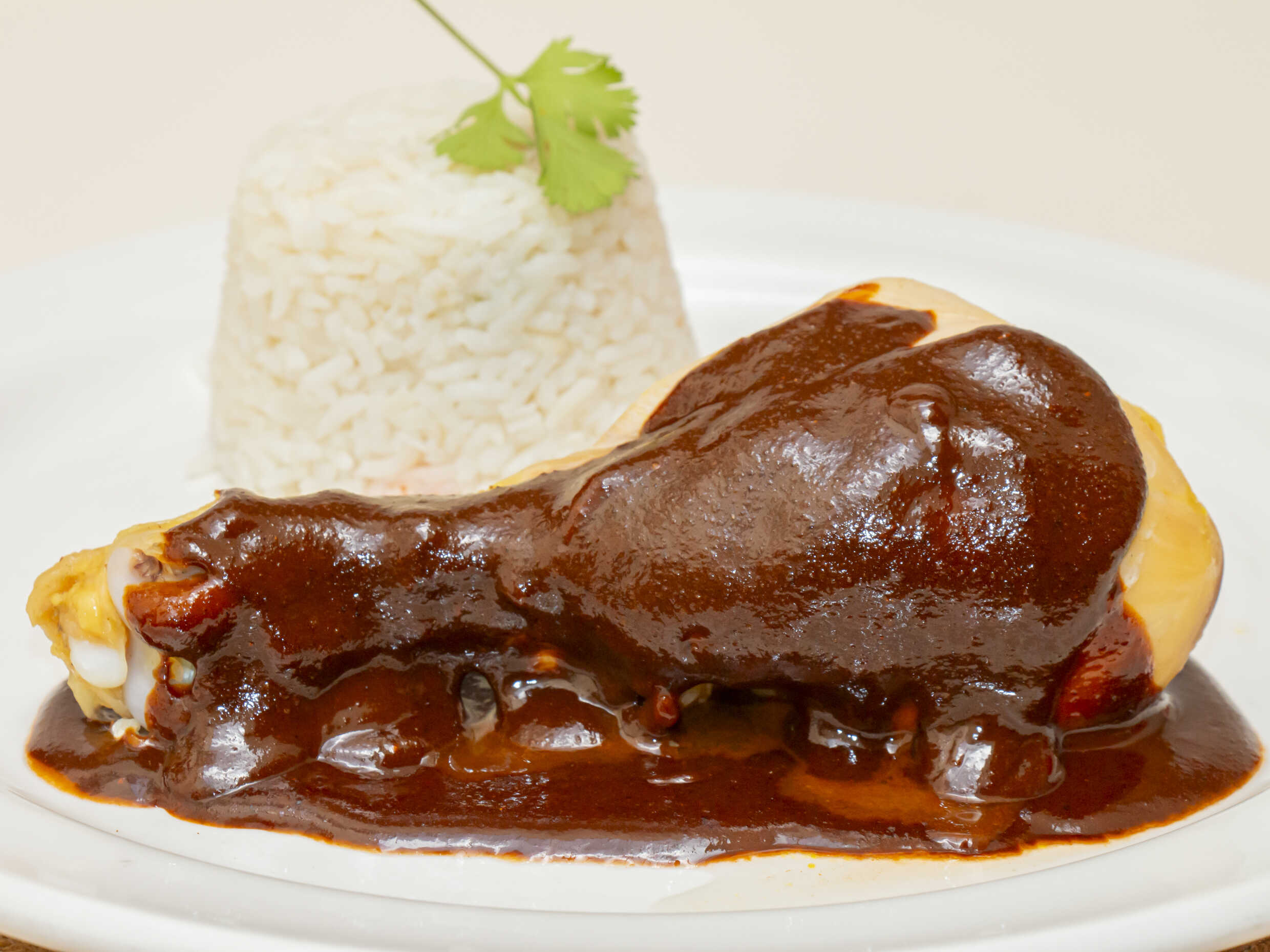 Mole Rojo (pollo)