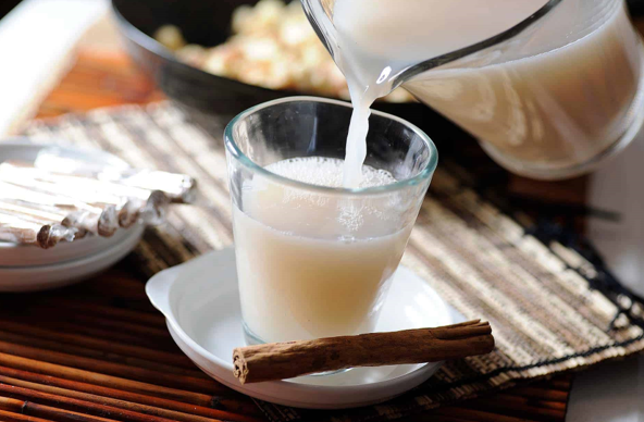 Agua de Horchata 500 ml