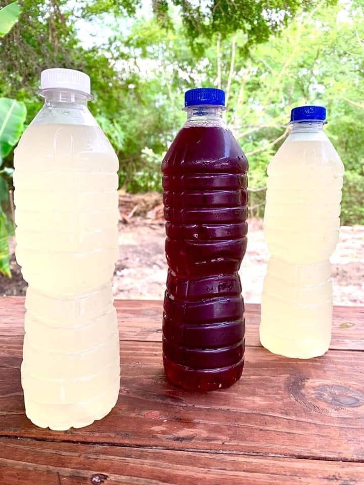 Agua de Sabor