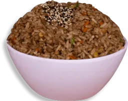 Yakimeshi Vegetariano