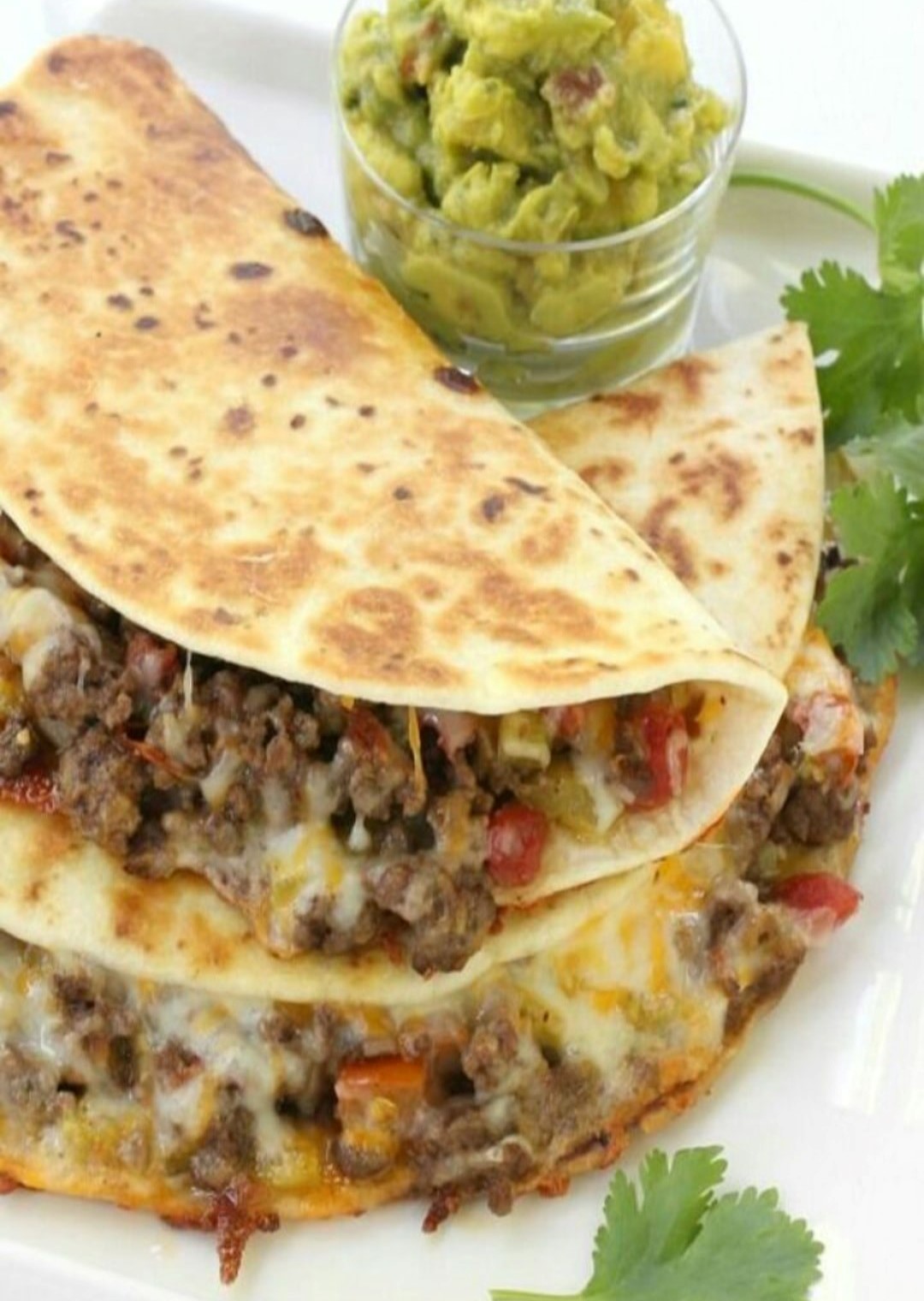 Gringa de Carnitas