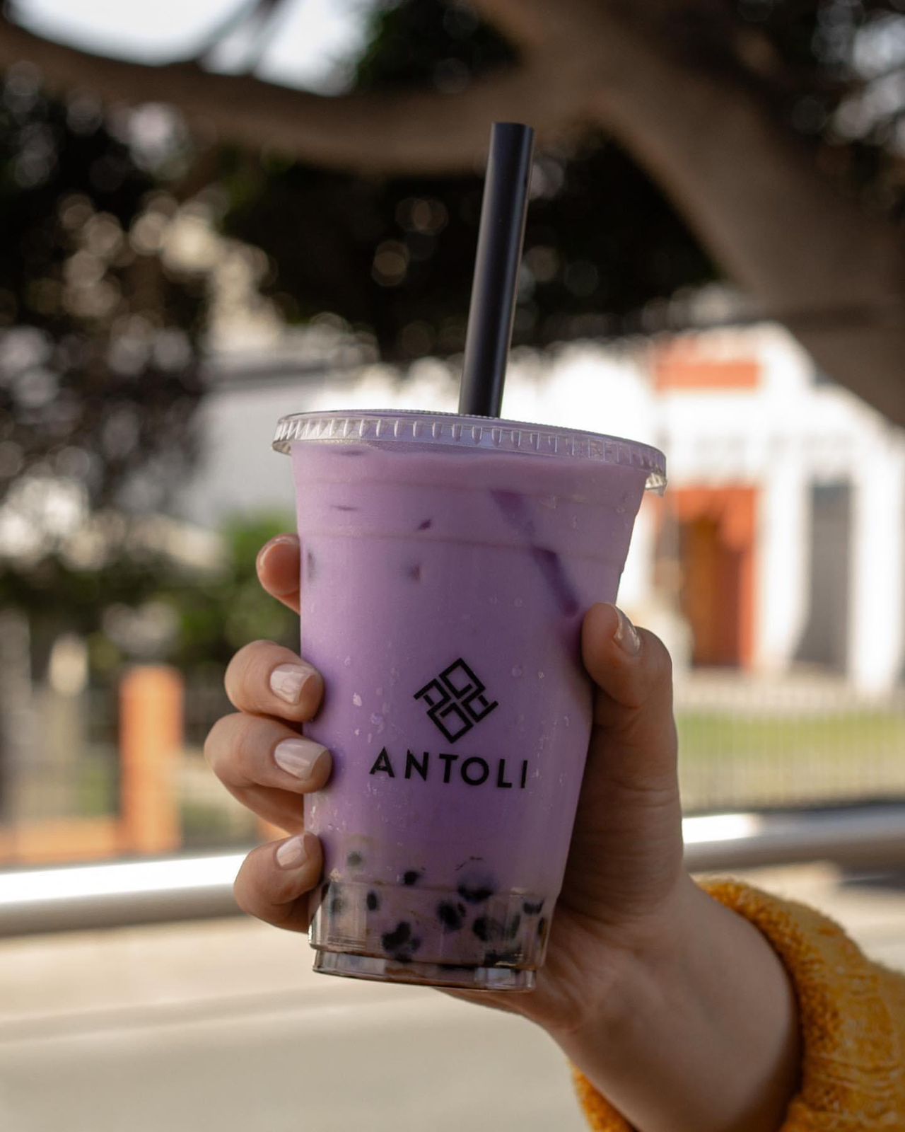 Taro Boba
