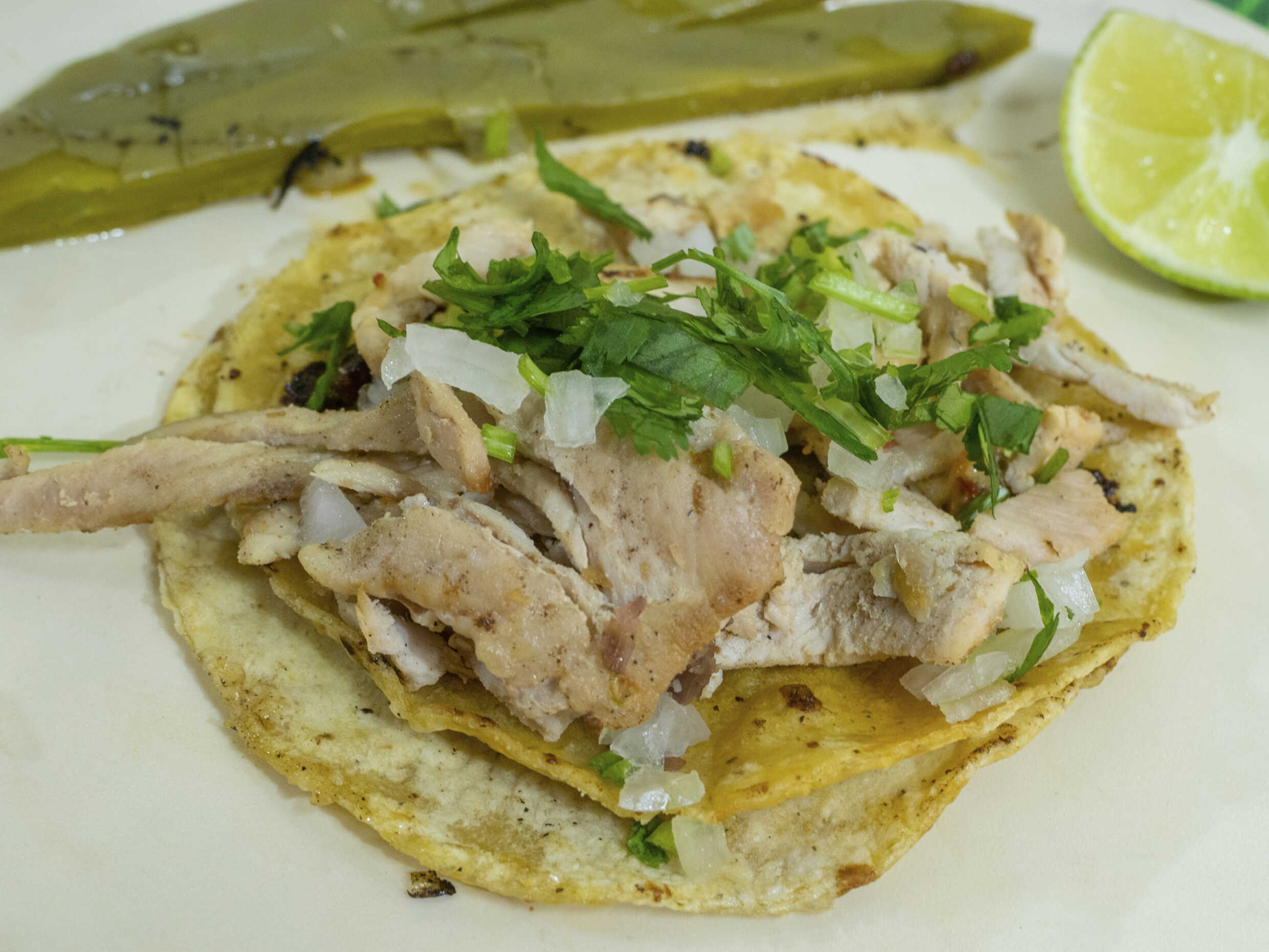 Taco Sencillo (Árabe) Tortilla de Maíz