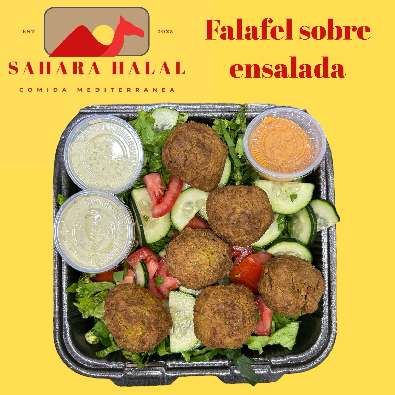 Falafel Sobre Ensalada
