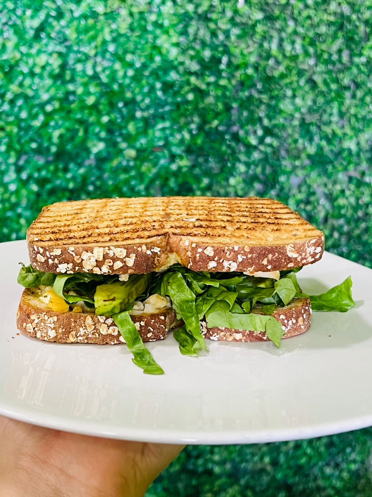 Sándwich Chicken Cheese