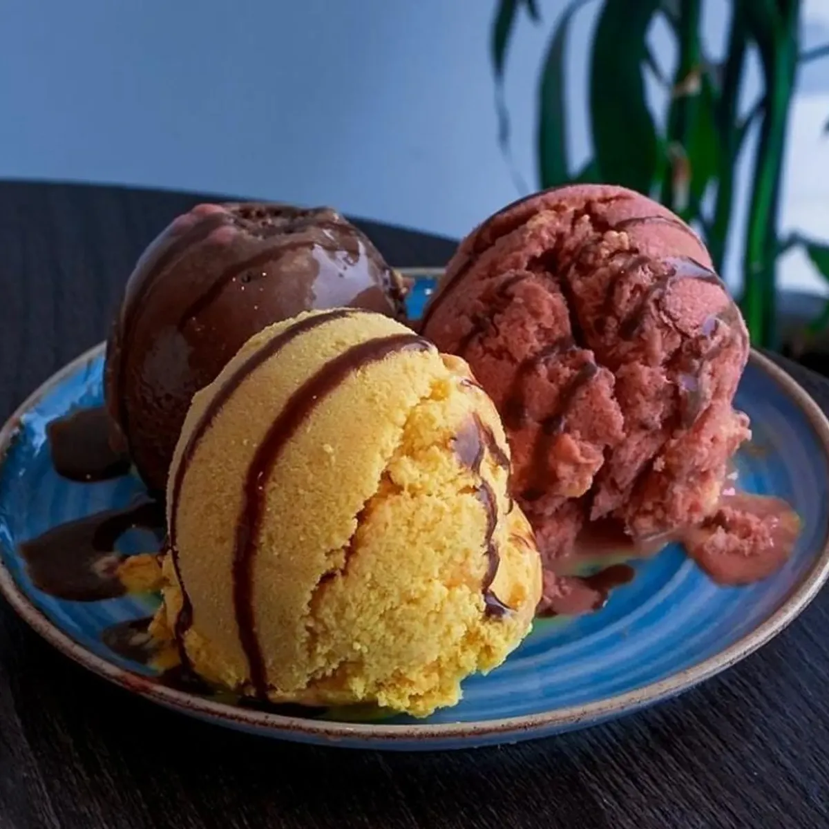 Helado Artesanal de Vainilla
