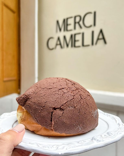 Concha de Chocolate