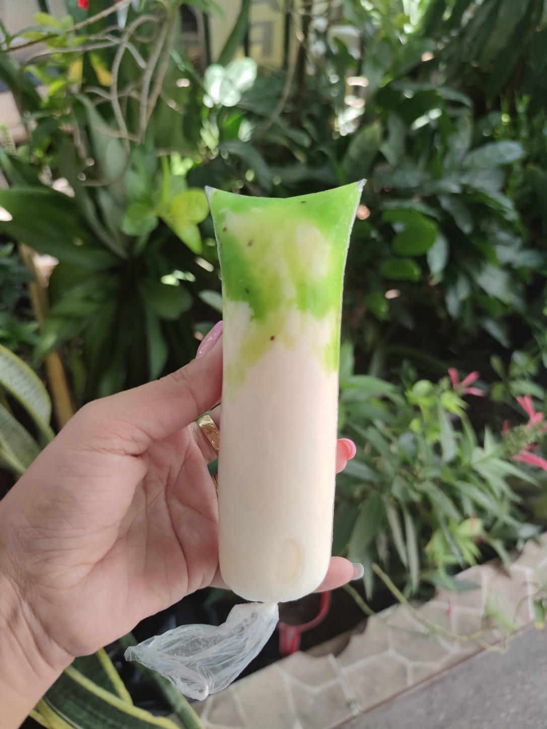 BOLI KIWIS CON CREMA