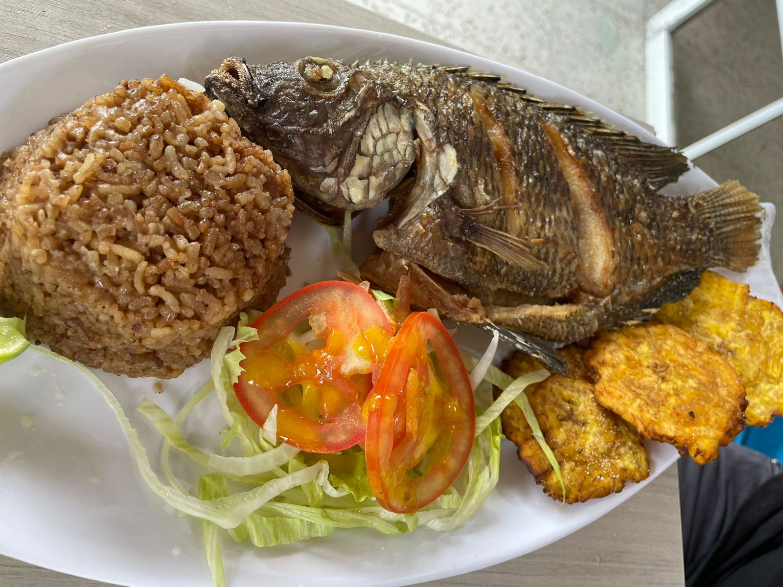 Mojarra Negra
