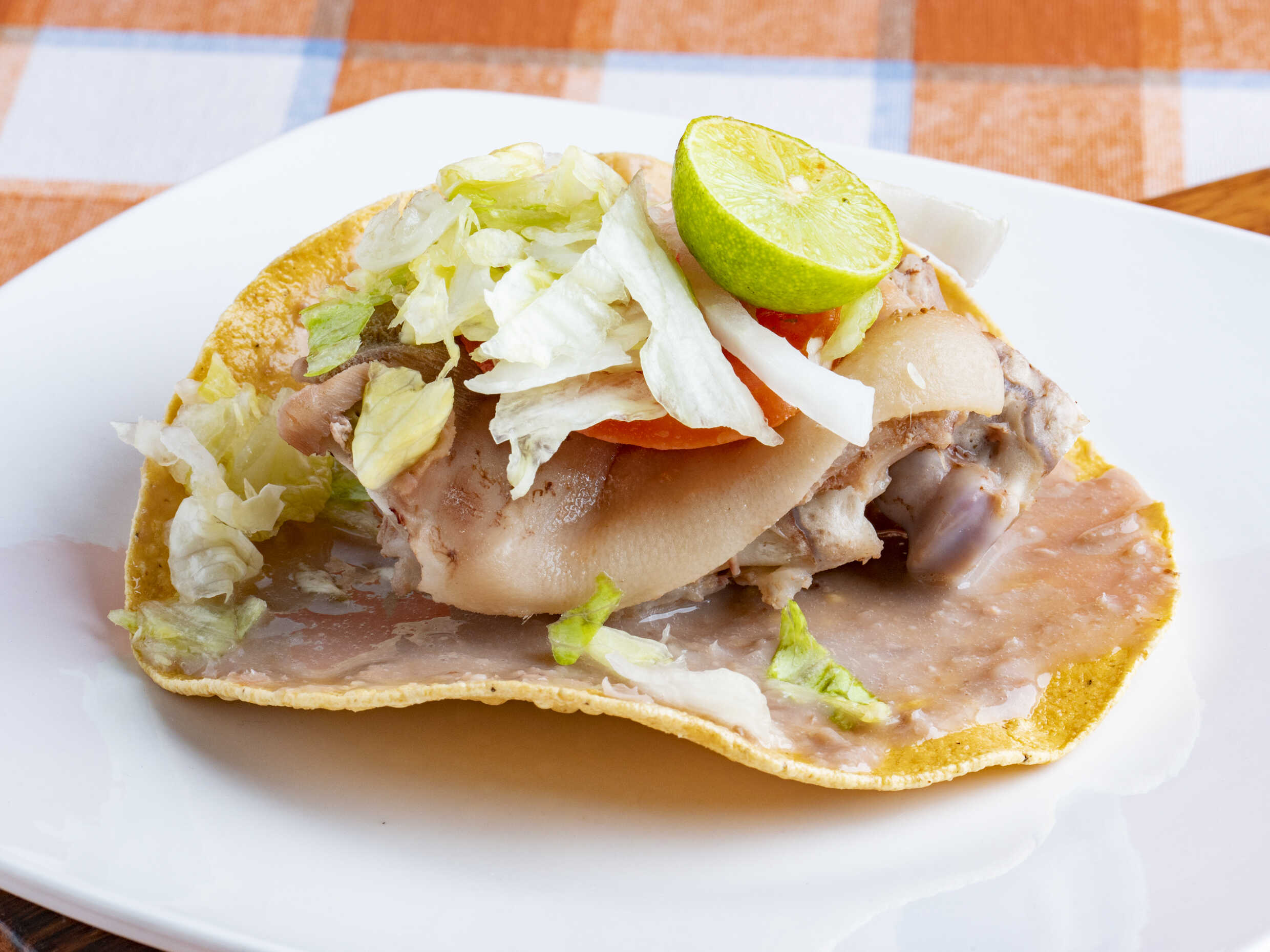 Tostada Grande Surtido