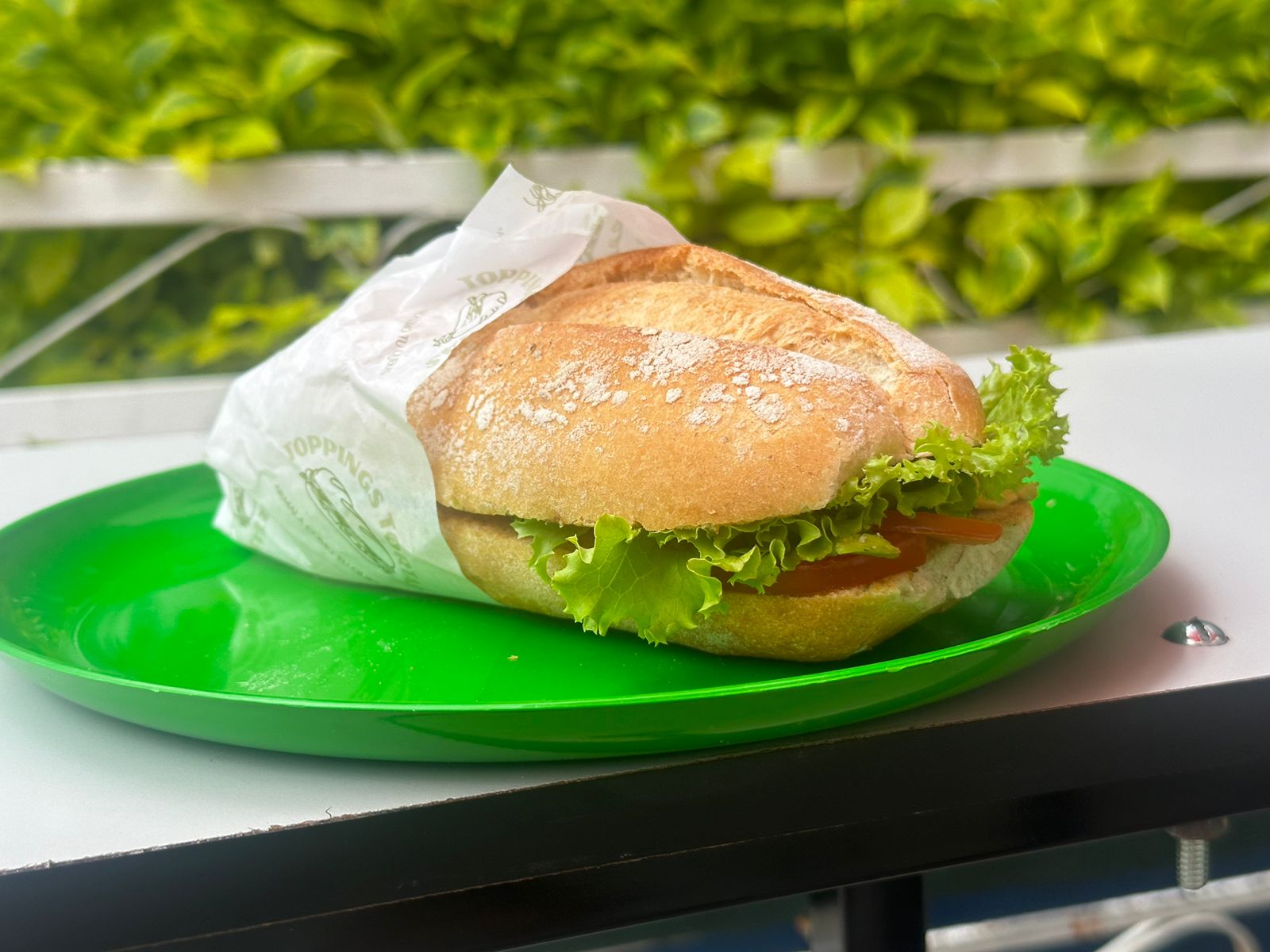 Torta de Huevito con Jamón