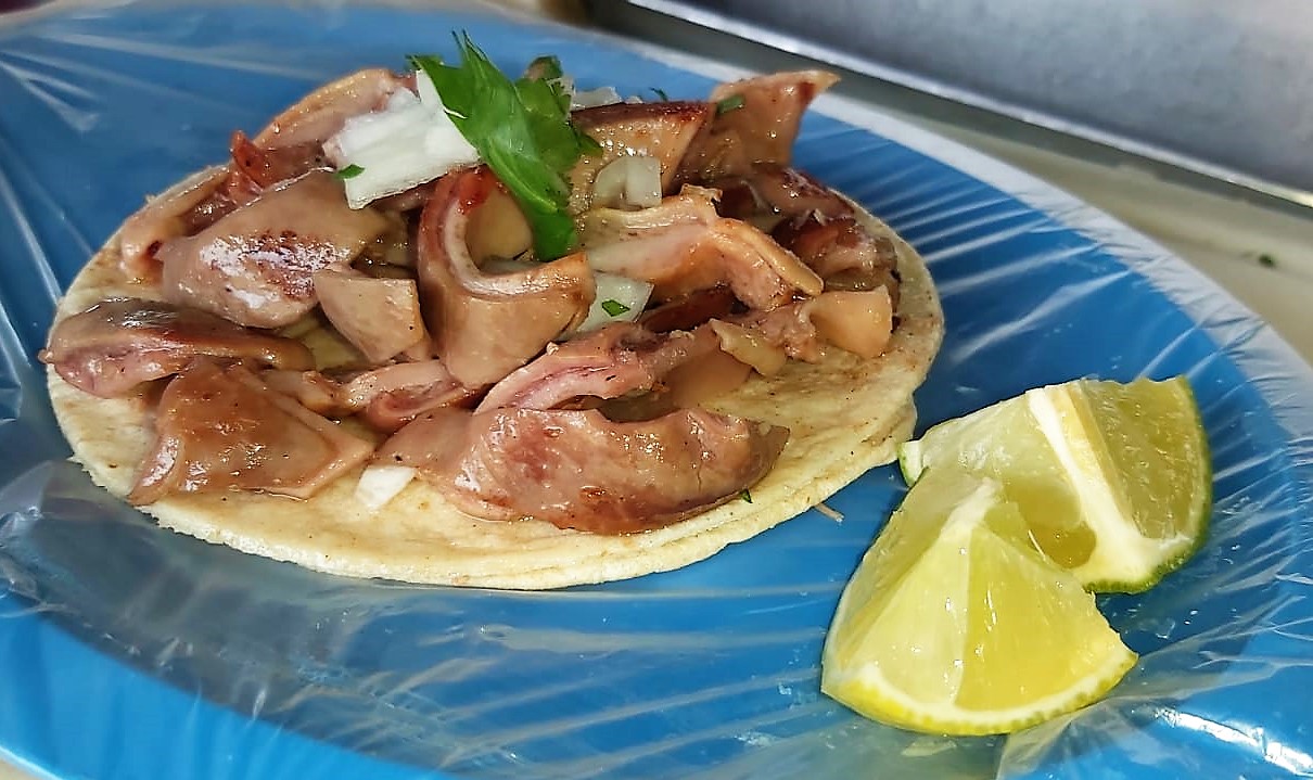 Taco de Buche