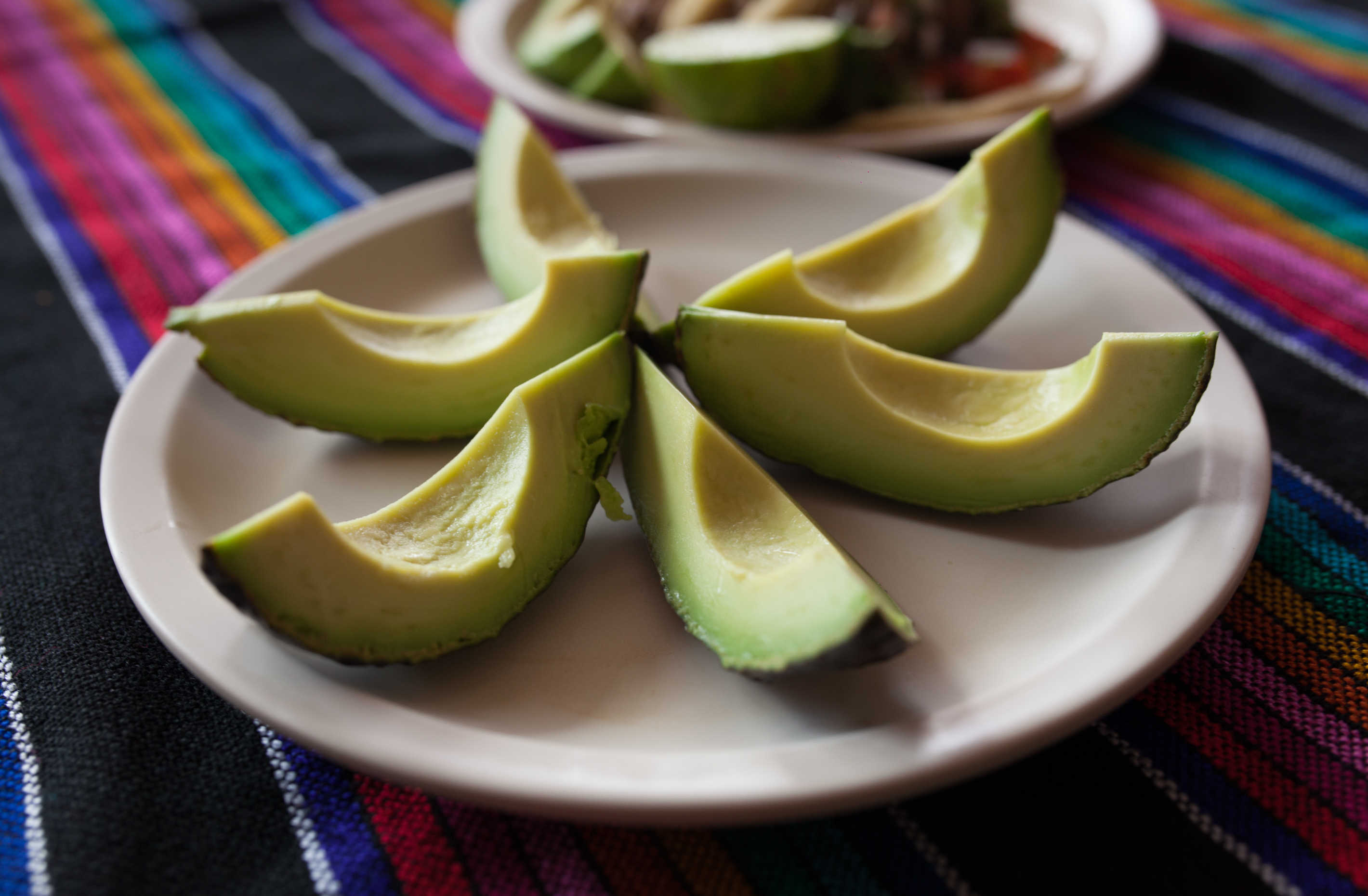 aguacate extra