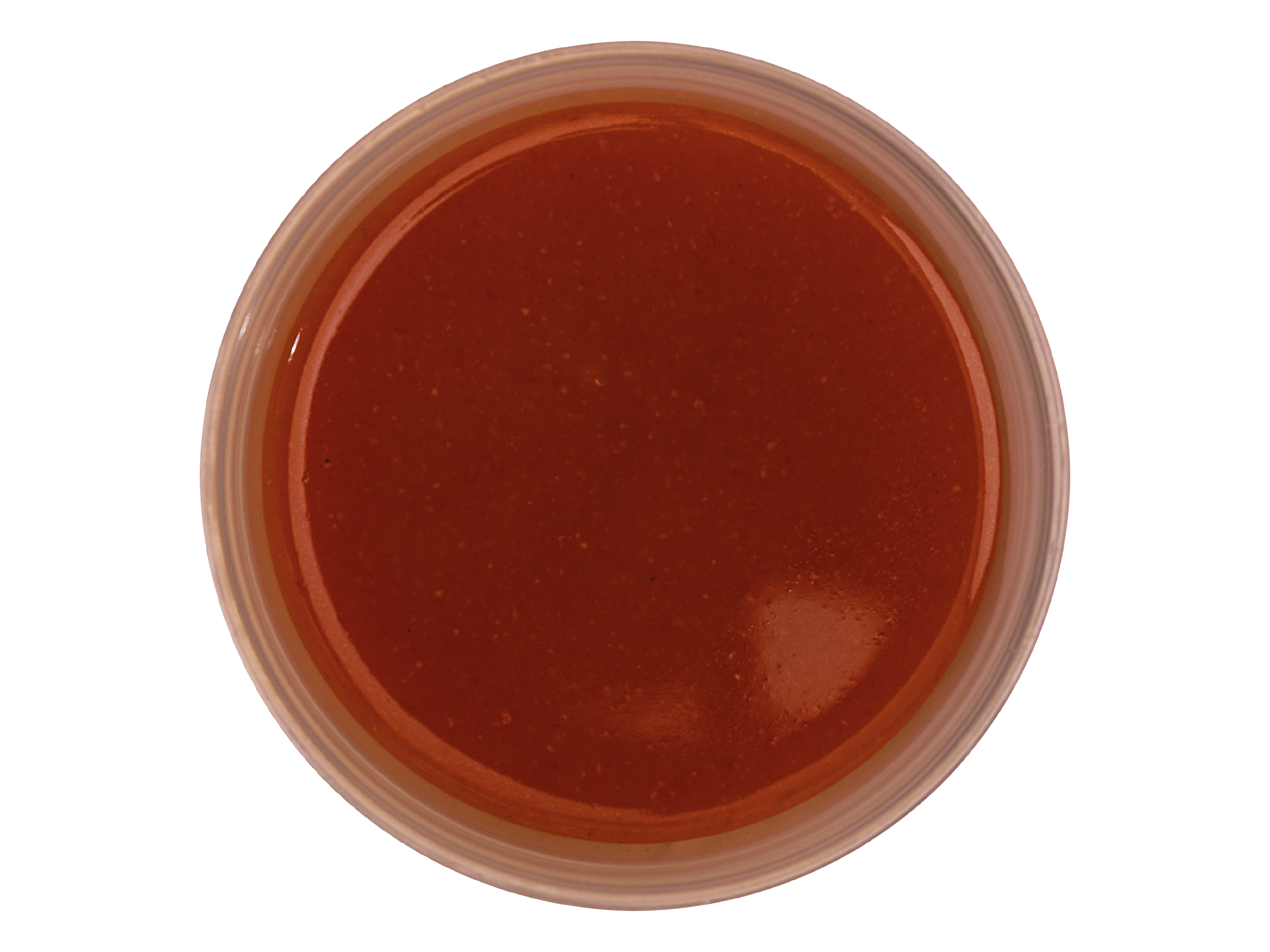 Salsa Pizza