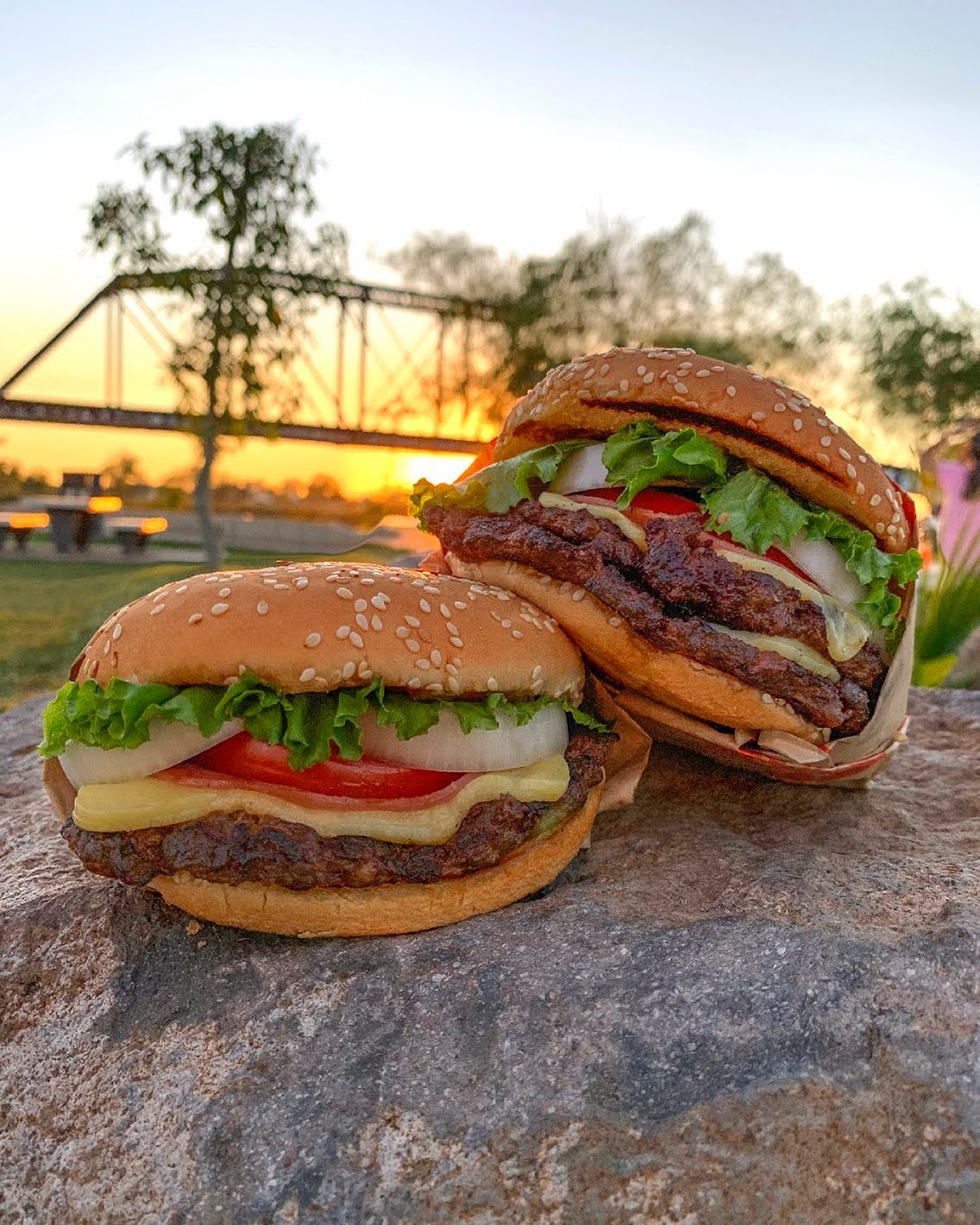 HAMBURGUESA SENCILLA