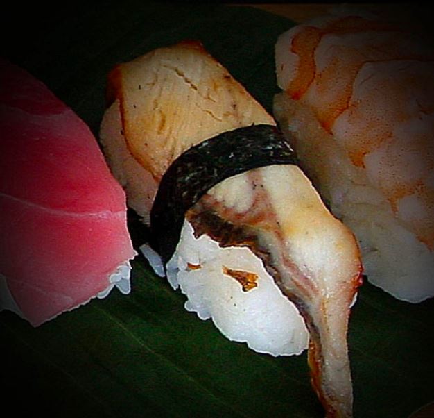 Pieza  Anago