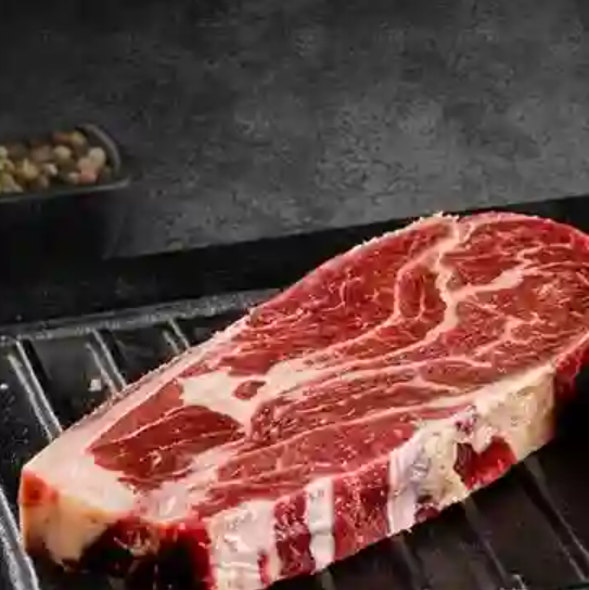 Aguja Norteña
