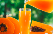 Papaya Fresh   500 ML