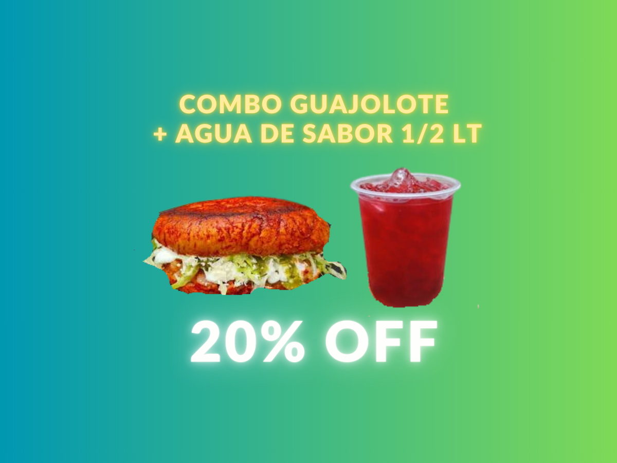 Combo Guajolote + Agua de Sabor 1/2 Lt