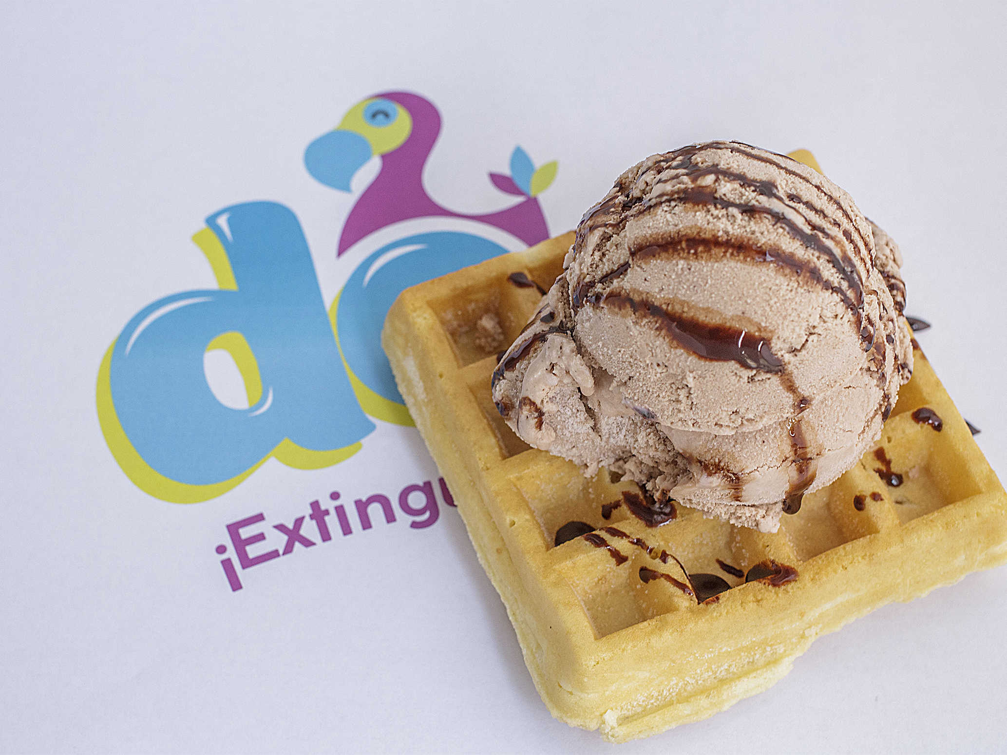 Waffle con Helado