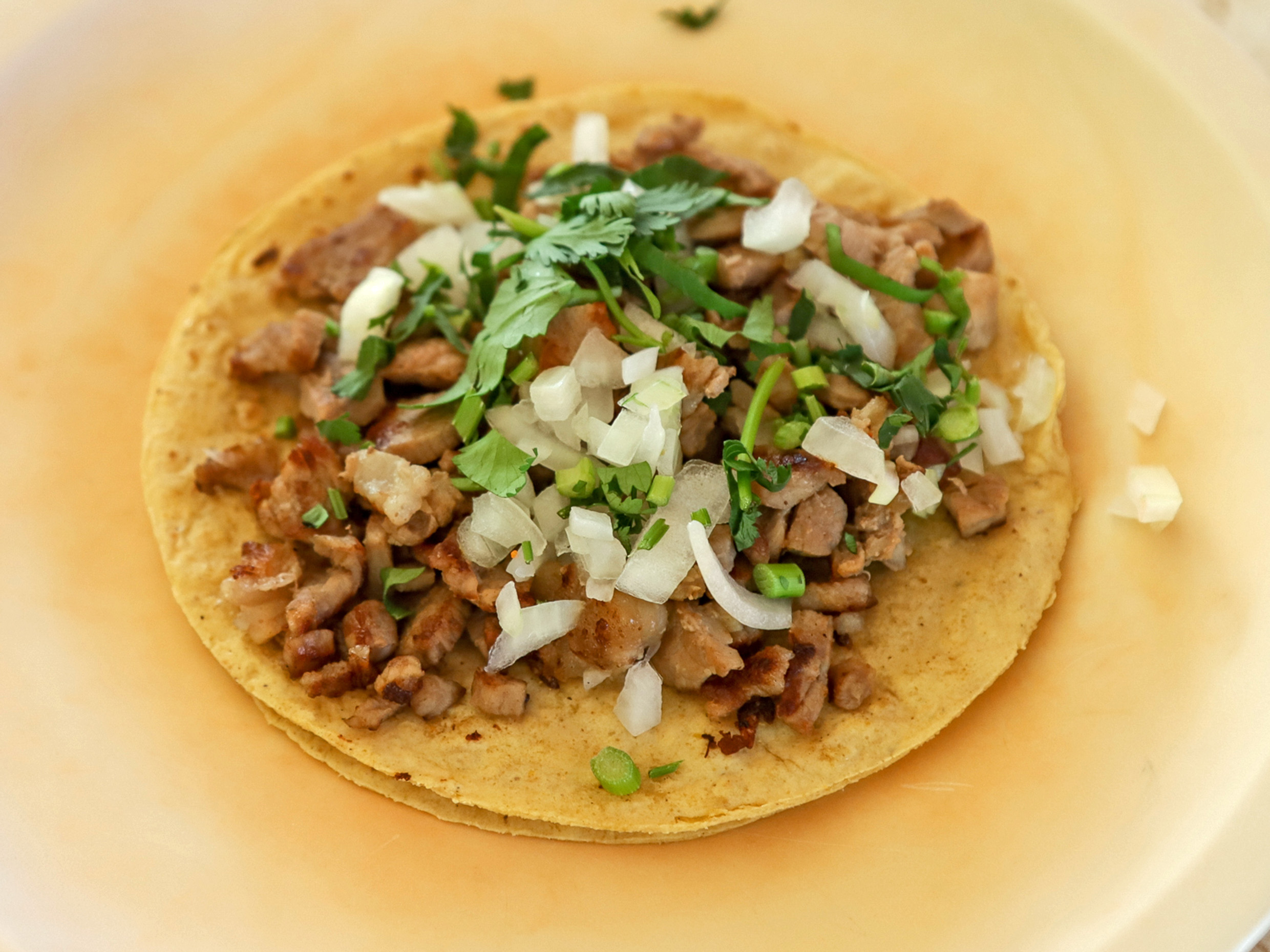 Taco Bistec de Res