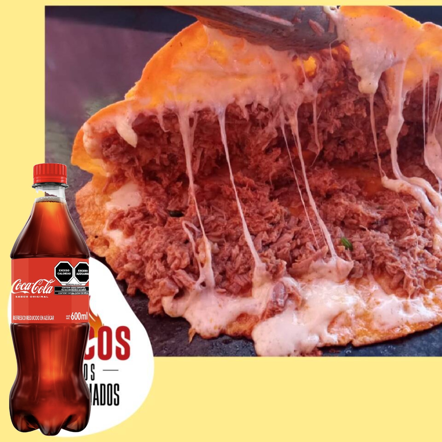 Paq. Quesabirrias de Harina 3