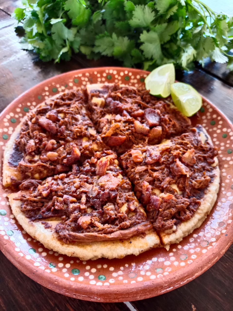 PELLIZCADA  GRANDE DE CHICHARRON