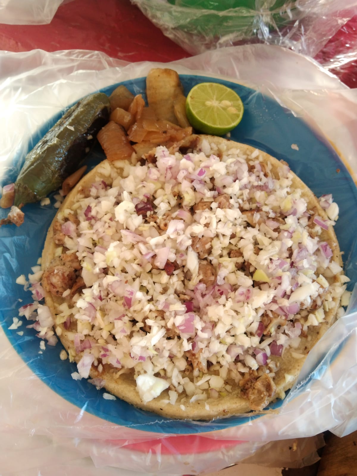 Pellizcada de Tripa Asada