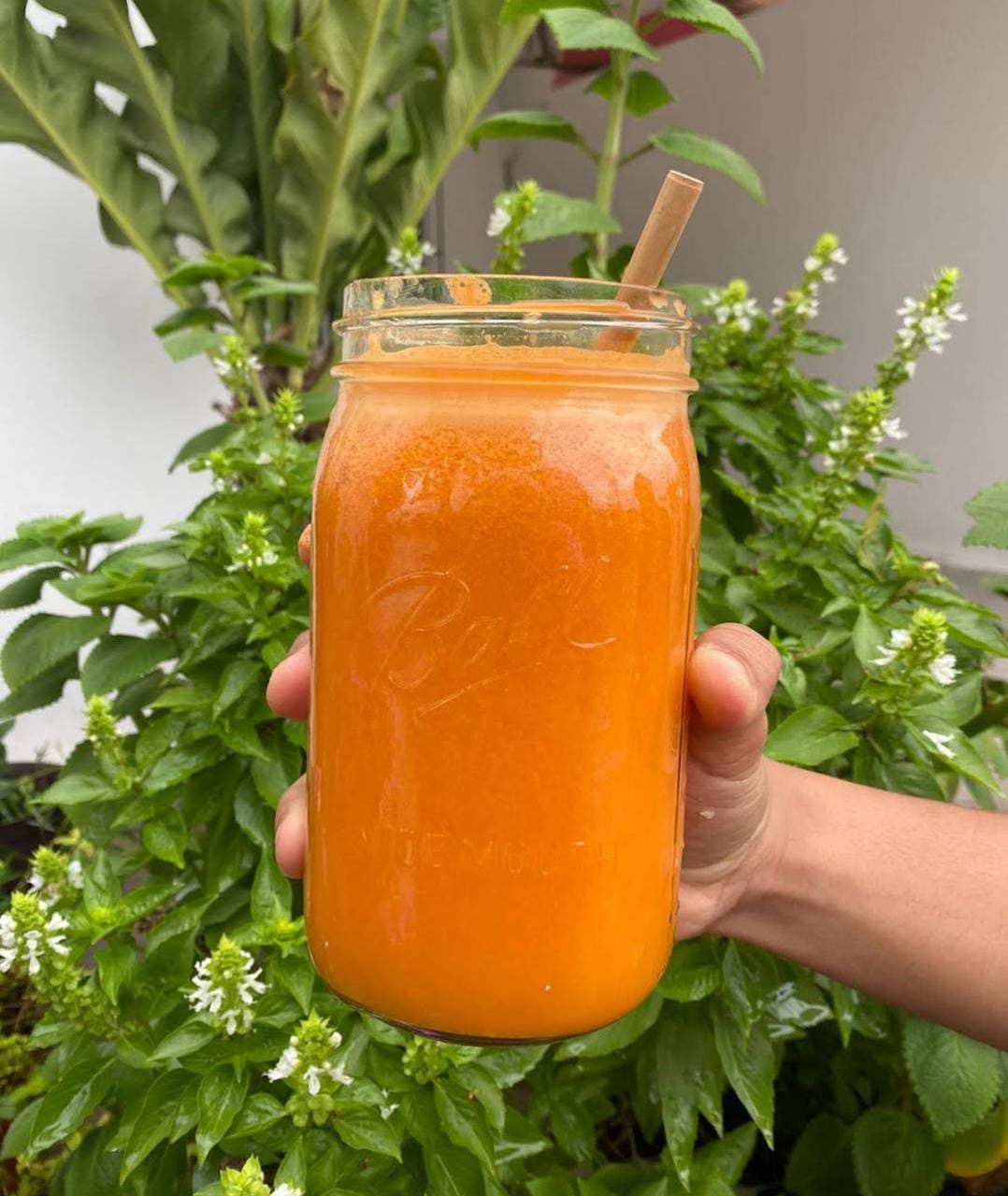 Jugo Dorado