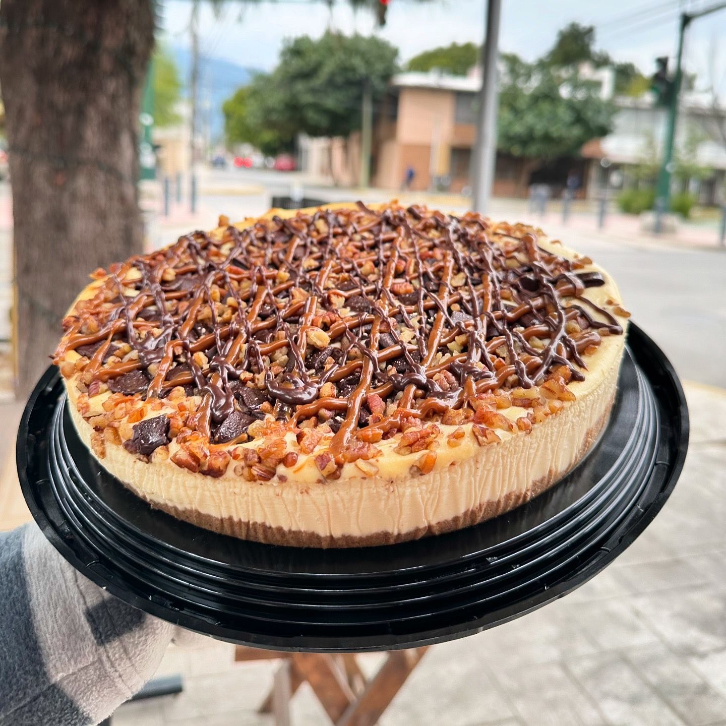 Rebanada de Tortuga